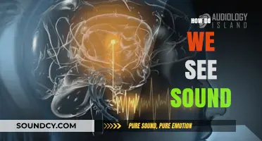 Unveiling the Science: How Our Brains Transform Sound into Sight