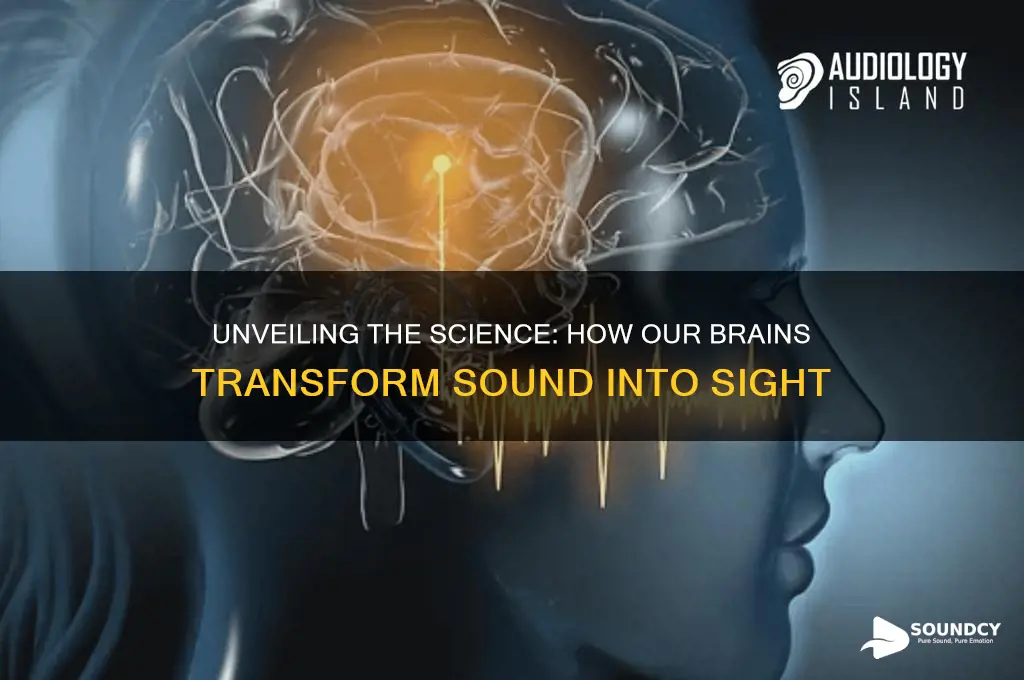 how do we see sound
