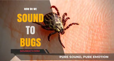 How Do Our Sounds Affect Bugs? Exploring Insect Hearing and Perception