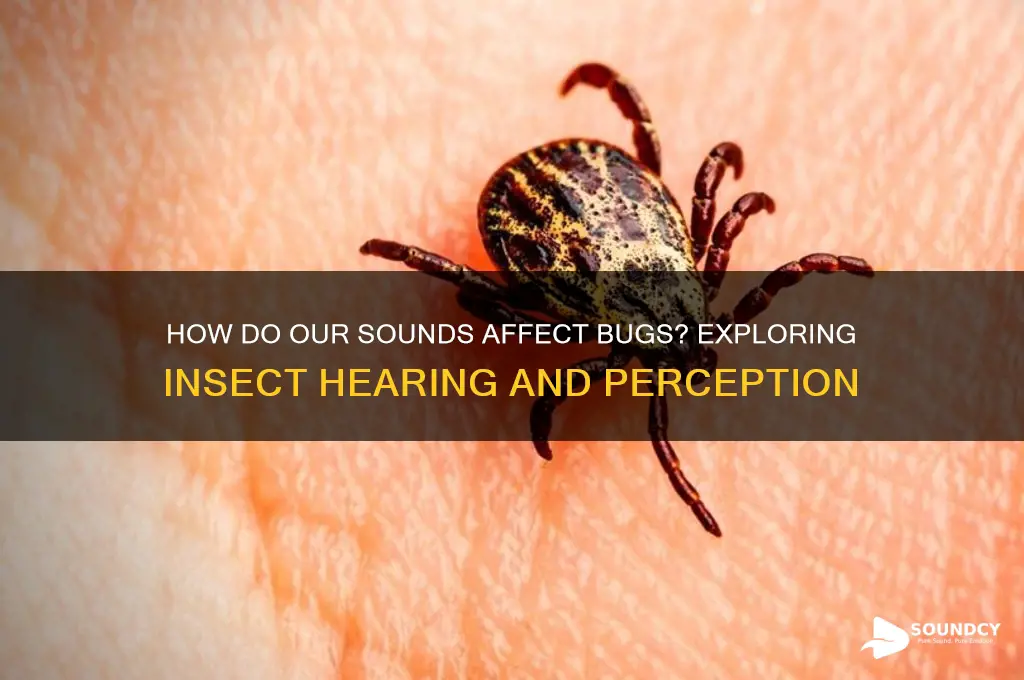 how do we sound to bugs