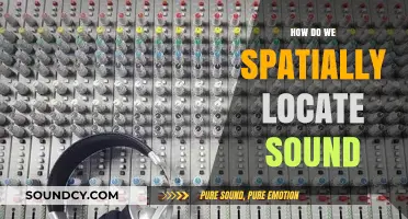 Unraveling the Science Behind How We Spatially Locate Sound