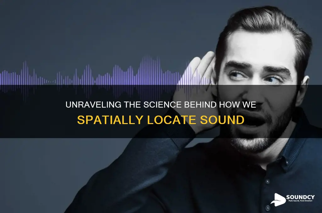 how do we spatially locate sound