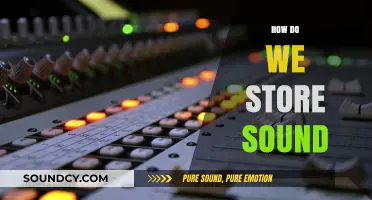 Exploring Sound Storage: From Analog to Digital Preservation Techniques
