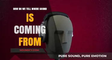 Pinpointing Sound Sources: The Science Behind Our Auditory Localization Skills