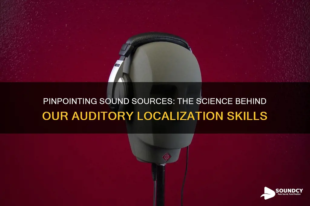 how do we tell where sound is coming from