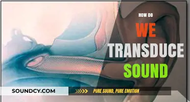 Unraveling the Science: How Our Ears Transduce Sound into Perception