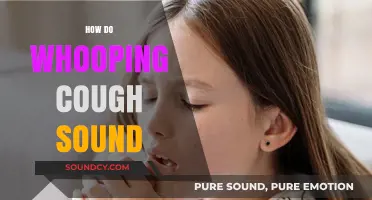 Unmistakable Whooping Cough Sounds: Identifying the Distinctive Symptoms and Audio