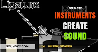 Unveiling the Science: How Wind Instruments Produce Musical Sounds