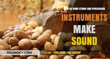 Exploring Sound Creation in Wind, String, and Percussion Instruments
