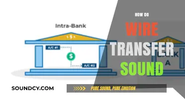 Understanding Wire Transfers: What They Sound Like and How They Work
