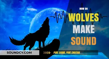 Unveiling the Mystery: How Wolves Create Their Haunting Sounds