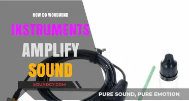 How Woodwind Instruments Amplify Sound: The Science Behind the Music