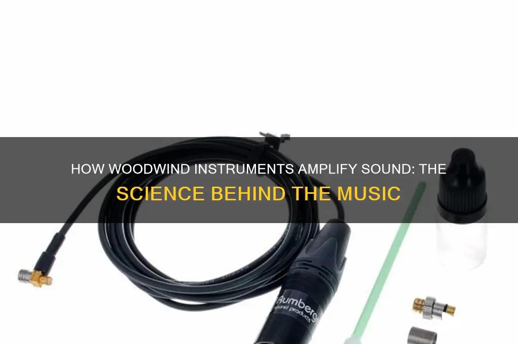 how do woodwind instruments amplify sound
