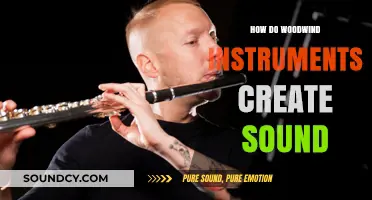 Unveiling the Science: How Woodwind Instruments Produce Musical Sounds