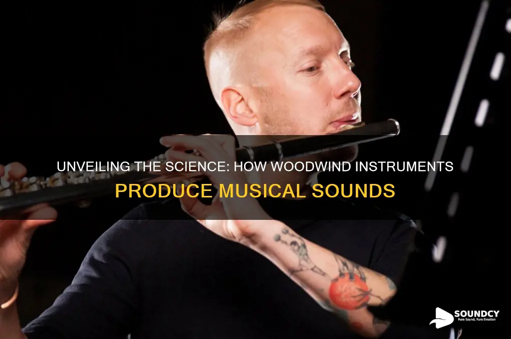 how do woodwind instruments create sound