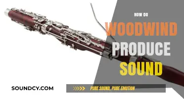 Unveiling the Magic: How Woodwinds Create Their Unique Sounds