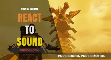 Wiggly Wonders: Exploring How Worms React to Sound Vibrations