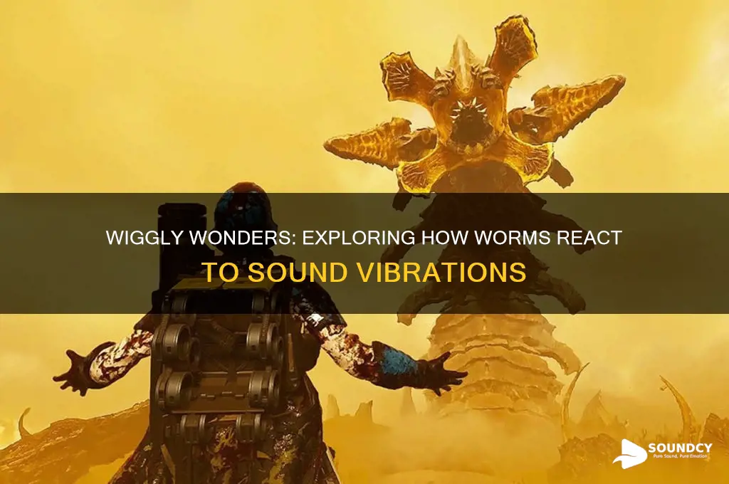 how do worms react to sound