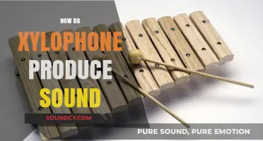 How Xylophones Create Vibrant Sounds: The Science Behind the Music
