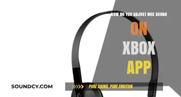 Mastering Xbox App Mic Settings: A Quick Adjustment Guide