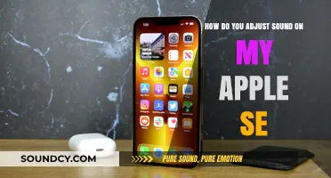 Adjusting Sound on Your Apple SE: A Quick Guide