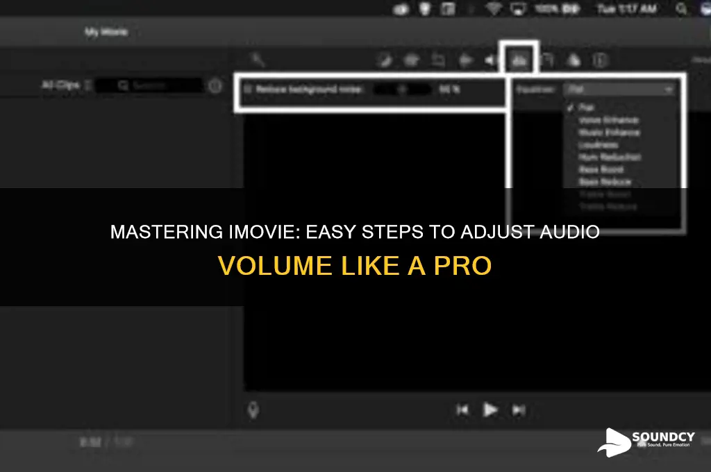how do you adjust volume on sound in imovie