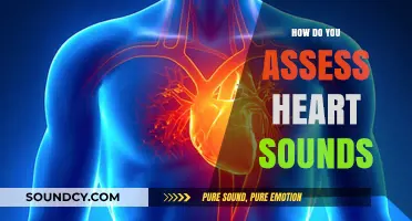Mastering Heart Sound Assessment: Techniques and Tools for Accurate Auscultation