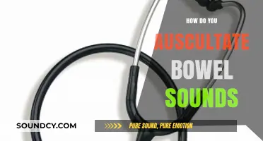 Mastering Auscultation: A Step-by-Step Guide to Listening to Bowel Sounds