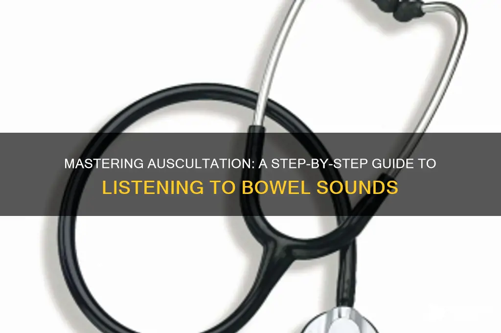 how do you auscultate bowel sounds