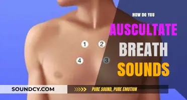 Mastering Auscultation: A Step-by-Step Guide to Assessing Breath Sounds
