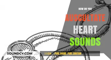 Mastering Auscultation: A Step-by-Step Guide to Heart Sound Assessment