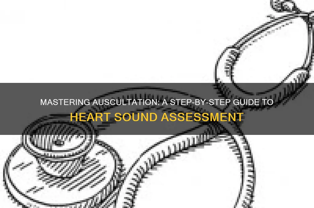 how do you auscultate heart sounds