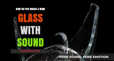 Shattering Silence: The Science Behind Breaking Wine Glasses with Sound