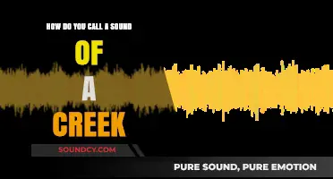 The Soothing Symphony: Naming the Gentle Sound of a Creek
