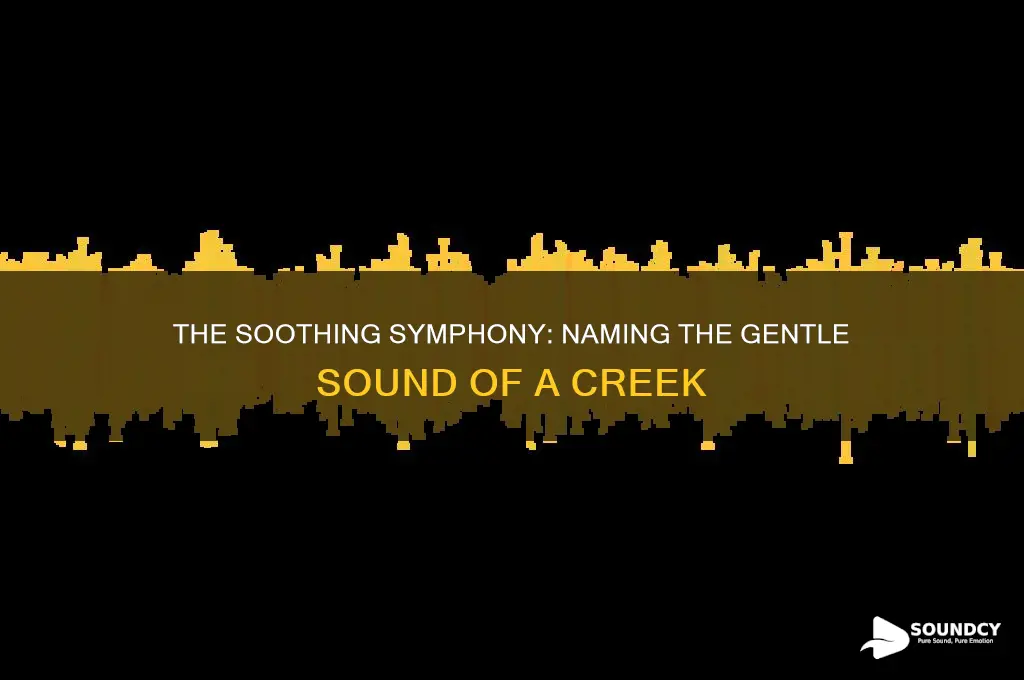 how do you call a sound of a creek