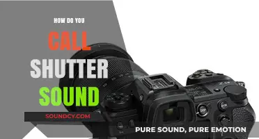 Understanding the Shutter Sound: What's It Called and Why It Matters