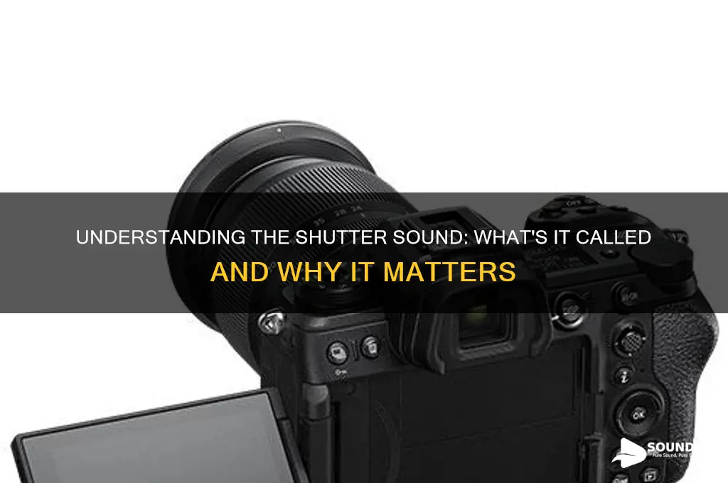 how do you call shutter sound
