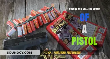 What's the Name for a Pistol's Distinctive Sound?