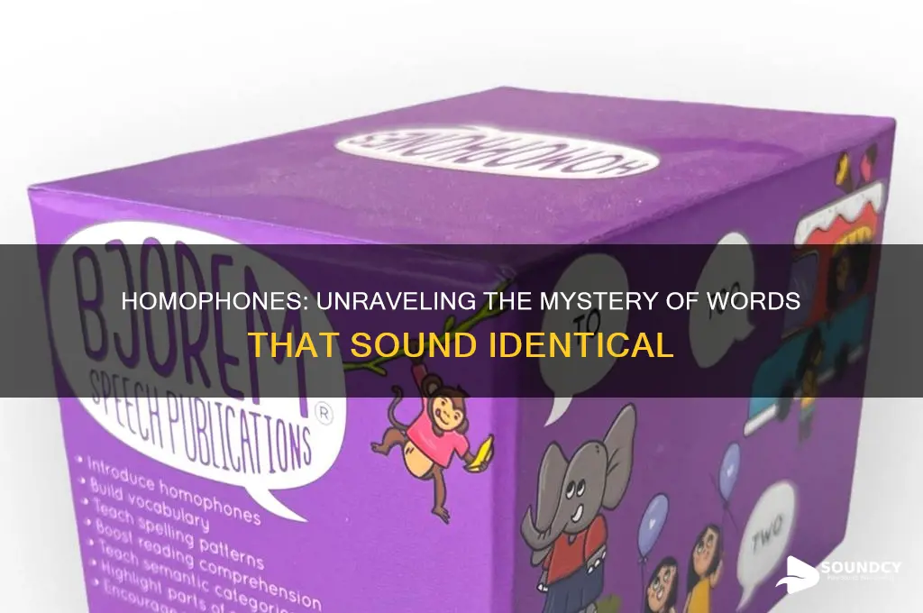how do you call words that sound the same