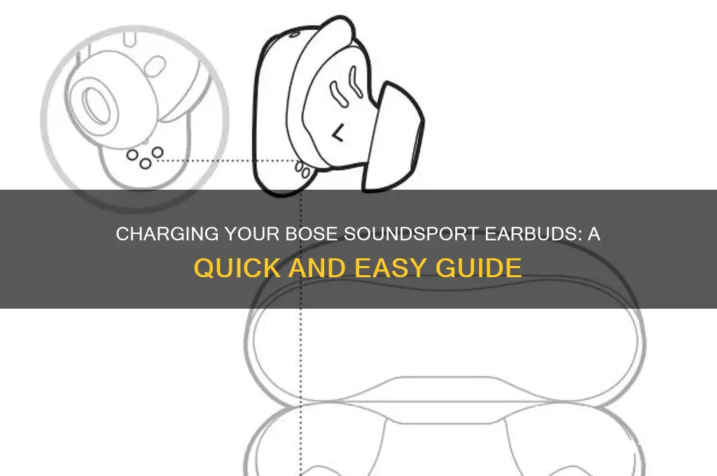 how do you charge your bose sound sport earbuds