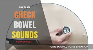 Mastering Auscultation: A Step-by-Step Guide to Checking Bowel Sounds