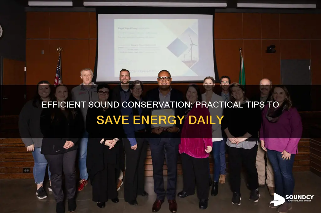 how do you conserve sound energy