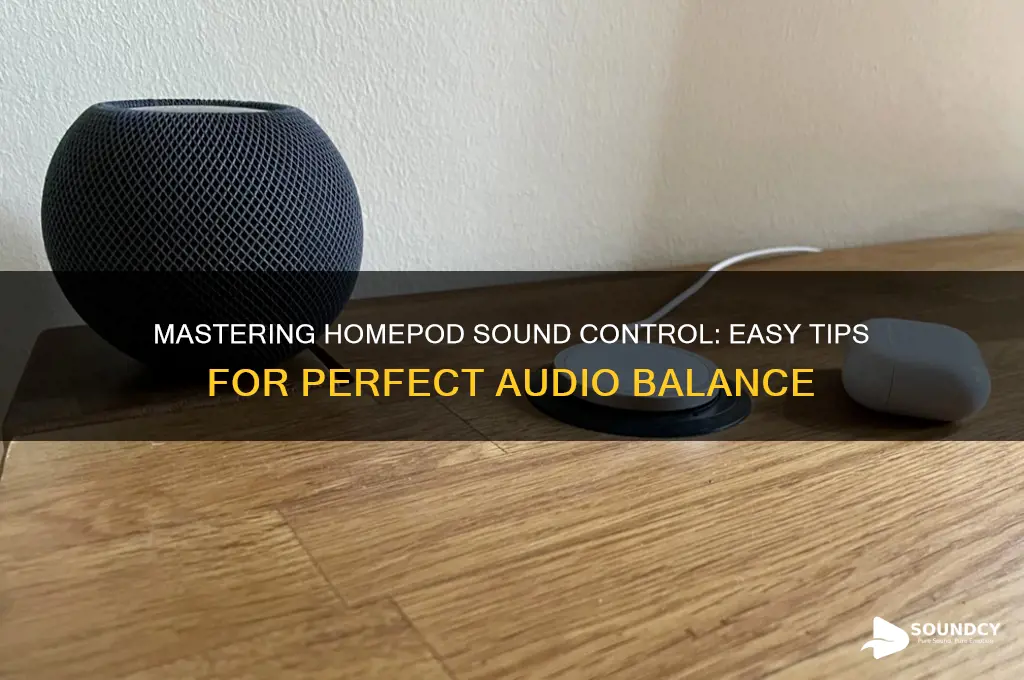 how do you control the sound on a homepod