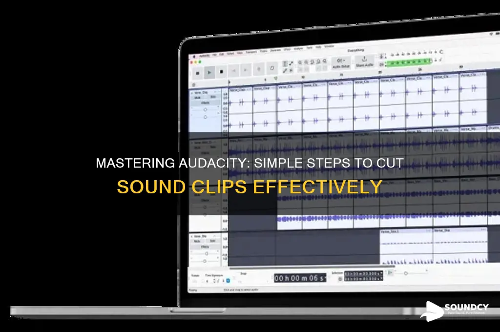 how do you cut piece of sound on audacity