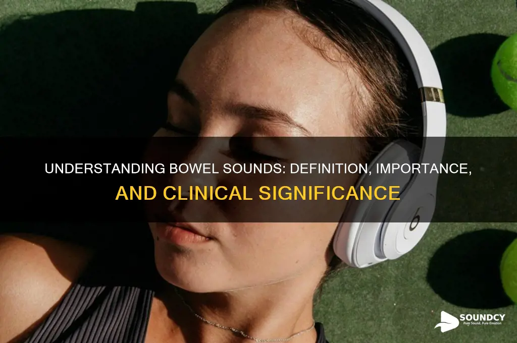 how do you define bowel sounds