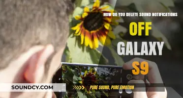 How to Disable Sound Notifications on Your Galaxy S9 Easily