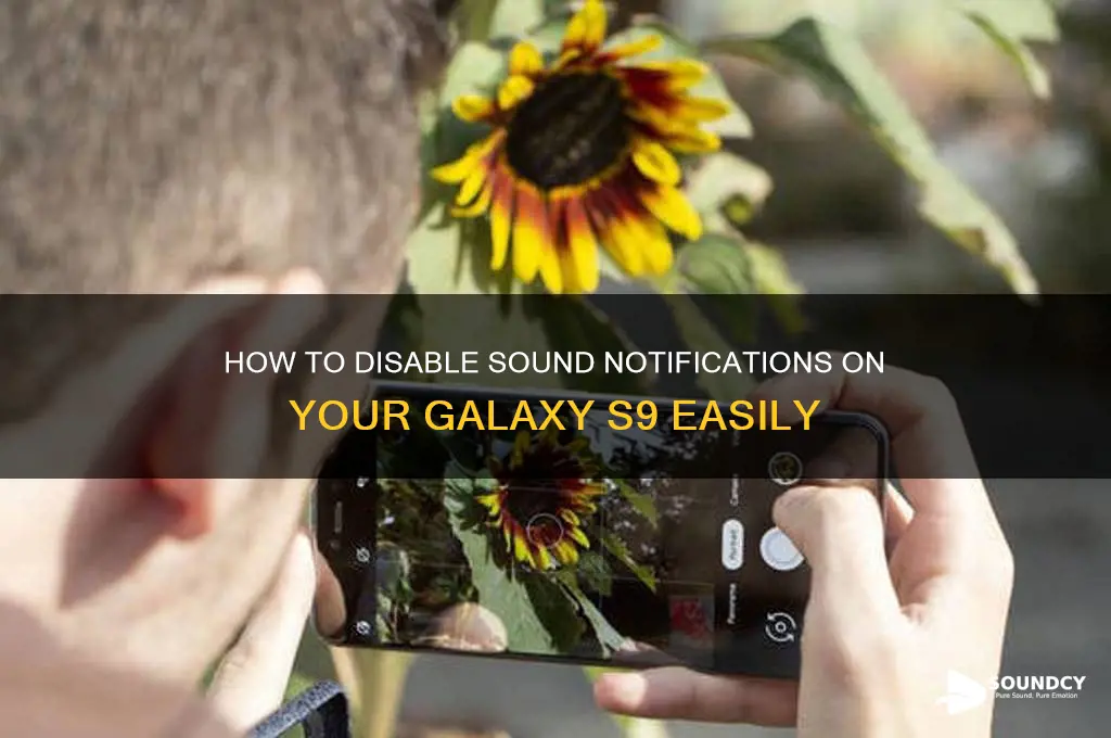 how do you delete sound notifications off galaxy s9