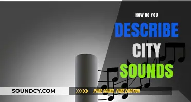 Urban Symphony: Capturing the Vibrant Soundscape of City Life