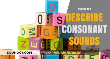 Mastering Consonant Sounds: A Comprehensive Guide to Articulation and Description