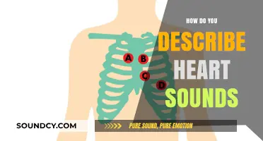 Understanding Heart Sounds: A Comprehensive Guide to Cardiac Auscultation